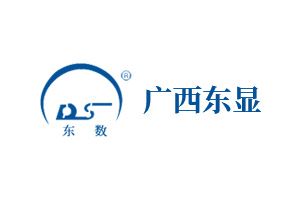 东显LED：广西东显电子有限公司