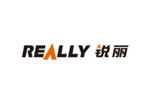 Really锐丽LED：上海锐丽科技股份有限公司